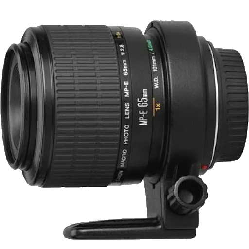MP-E 65 f/2.8 1-5x Macro Photo